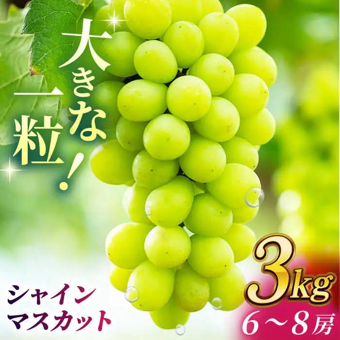 【2026年発送先行予約】シャインマスカット 3kg(6～8房)【合同会社 社方園】ぶどう 大粒  熊本 期間限定  マスカット [ZBZ014]