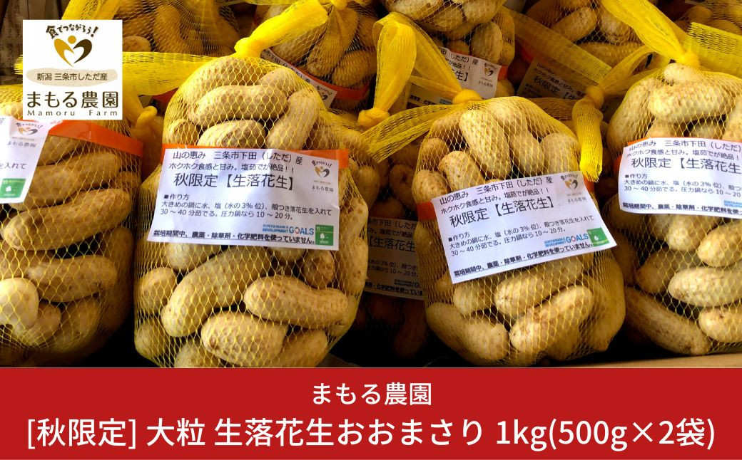 
[期間限定受付] 生落花生「おおまさり」 1kg(500g×2袋) 大粒 落花生 新潟県産 三条市下田産 らっかせい　[まもる農園] 【010S204】
