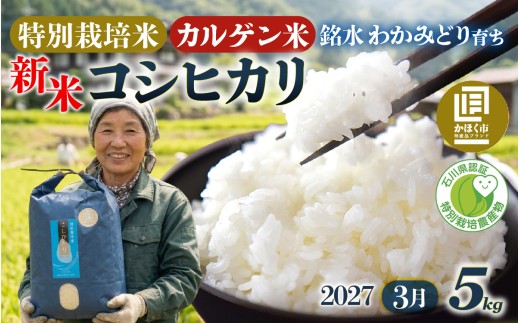 【令和8年産 新米】若緑産 特別栽培米「こしひかり」5kg【2027年3月発送】