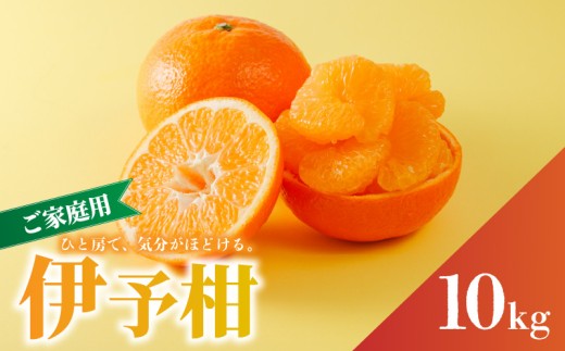 家庭用 宮内伊予柑  10kg サイズ混合 【2026年1月から発送予定】 | 訳あり 柑橘 みかん 果物 くだもの フルーツ おすすめ  人気 お取り寄せ グルメ ギフト 期間限定 数量限定 ご当地 愛媛県 松山市