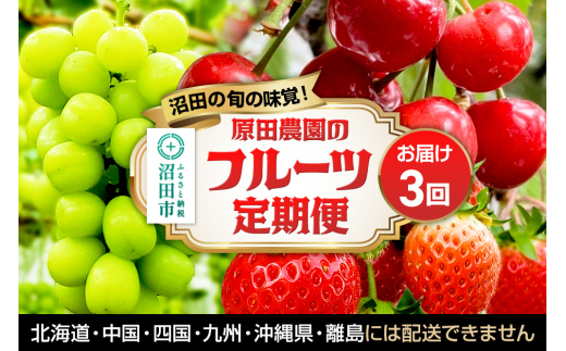 《一部地域限定配送》3回お届け！原田農園のフルーツ定期便 さくらんぼ→シャインマスカット→いちご