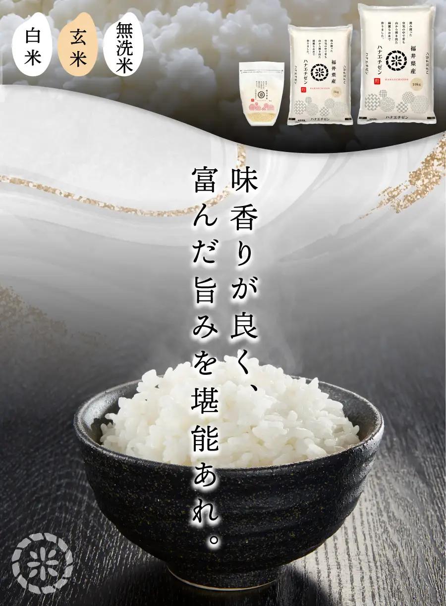 【定期便6回】ハナエチゼン 無洗米 3kg（1kg×3）令和8年産 [095-t06-a328]