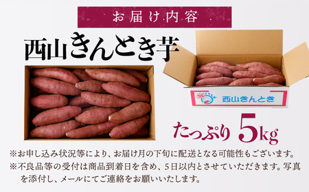 【秀品】西山きんとき芋５ｋｇ _ta007