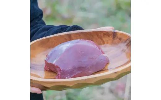天然ジビエ肉（冷凍）ブロック肉 1kg(シカ肉)【クール便】/ジャーキー シカ ペット フード  肉鹿 おやつ  犬用 ドッグフード 生肉【wmk946-gibi-block】
