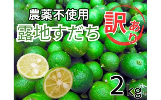 [№5852-0474]訳あり【Ｂ級】露地スダチ2kg　※9月中旬頃から発送　※離島不可　［すだち 佐那河内産 徳島県産 訳あり 柑橘 無農薬 刺身 魚 ジャム ぽん酢 ポン酢 焼酎 有機栽培 不揃い 1キロ 2キロ 家庭用 果汁 高評価］