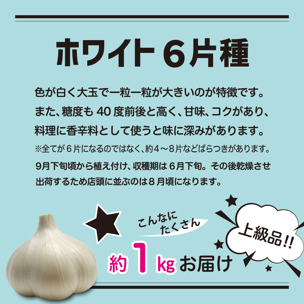 青森県産にんにく ホワイト六片（上級品）Mサイズ1kg