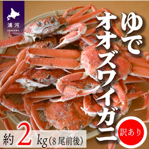 訳あり ゆでオオズワイガニ約2kg(8尾前後入)[02-1306]