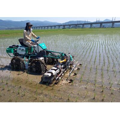 ふるさと納税 一関市 有機JAS認証 栽培期間中農薬・肥料不使用栽培　ササニシキ5kg |  | 02