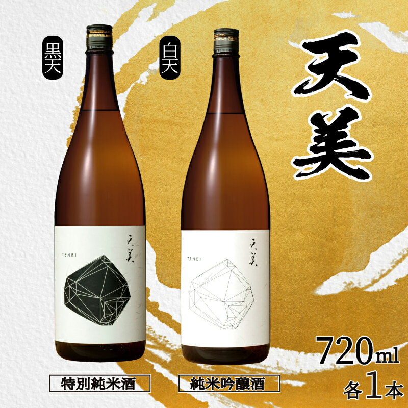 【ふるさと納税】 日本酒 2本 セット 特別純米酒 純米吟醸酒 天美 黒天 白天 720ml × 2 酒 お酒 人気日本酒 おすすめ日本酒 TENBI 長州酒造 飲み比べ フレッシュ フルーティー プレゼント ギフト 銘酒 贈り物 贈答 家飲み 晩酌 お中元 お歳暮 記念日 父の日 下関 山口