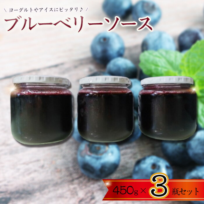 【ふるさと納税】ブルーベリーソース3瓶セット ／ ブルーベリー 砂糖 レモン果汁 シンプル ヨーグルト アイス お菓子 パン おやつ 送料無料 千葉県 No.359