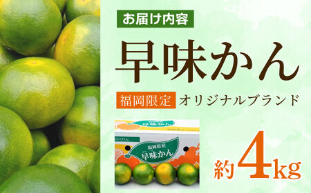 【9月中旬より順次発送】【福岡限定】オリジナルブランド「早味かん」約4kg 吉富町/南国フルーツ株式会社[BGAG014]