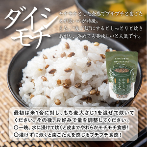 isa256 《訳あり・数量限定》鹿児島県伊佐市産もち麦！＜ダイシモチ＞(計3kg・500g×6袋) 【社会福祉法人ひまわり福祉会】