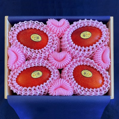 【2025年発送・最高級 極】燦々マンゴー1.8kg(4玉)【配送不可地域：離島】