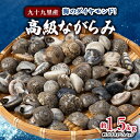 【ふるさと納税】海のダイヤモンド!高級ながらみ(冷凍)約1.5kg【配送不可地域：離島】【1226370】