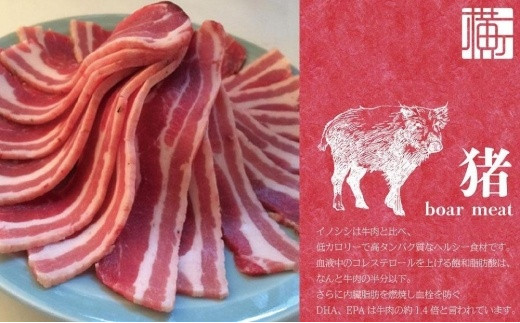九州・福岡の上質なイノシシ肉を使用 八女ジビエイノシシカレー お試し2食セット【中辛・辛口】 ジビエ 猪 いのしし カレー レトルト おためし ヘルシー 高タンパク スパイシー 食べ比べ 食品 九州 福岡 八女