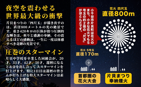【先行予約 令和8年9月12日(土)】世界一を体感！片貝まつり花火大会 桟敷席チケット (1名様分) | 花火 新潟県 小千谷市