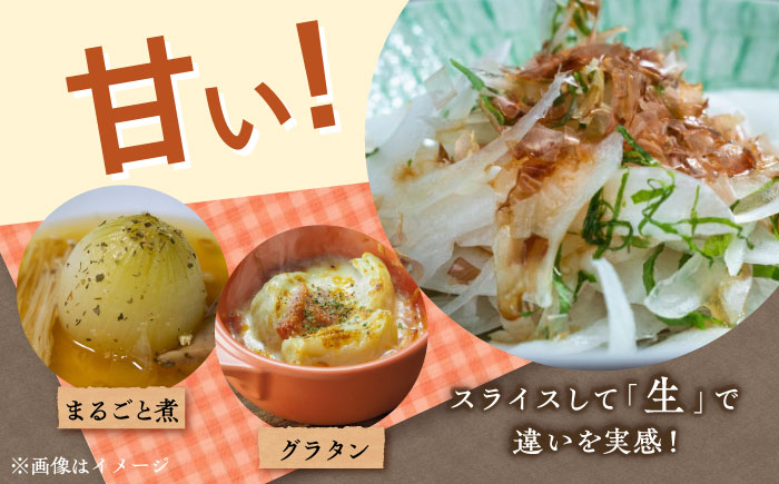 【数量限定100個】【先行予約/2026年6月上旬以降順次発送】美味しまねゴールド認証取得! 松江市産 春おとずれ新たまねぎ Lサイズ前後5kg 島根県松江市/mishiro farm [ALIJ00