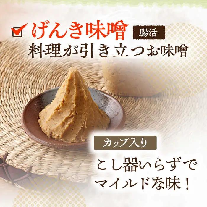 【3回定期便】さきちオリジナル 贅沢腸活3点セット（生あまざけ 100g×30本・手作り糀のげんき味噌・食材のうまみ倍増 塩糀） [OBF038]