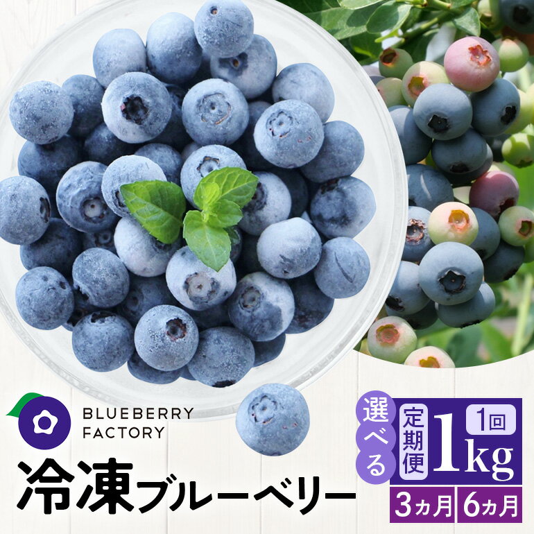 【ふるさと納税】 【定期便】岐阜県産 冷凍ブルーベリー＜真空パック保存＞1kgパック 選べる 3ヶ月 6ヶ月 定期便 完熟 果物 手摘み ブルーベリー 果実 冷凍 ベリー フルーツ くだもの 日時指定可 岐阜県 川辺町 ブルーベリーファクトリー A16-SKU-002