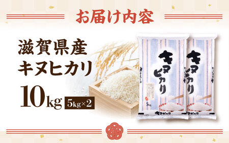 【令和7年産新米】キヌヒカリ 10kg 白米 [AQDH004] きぬひかり 白米