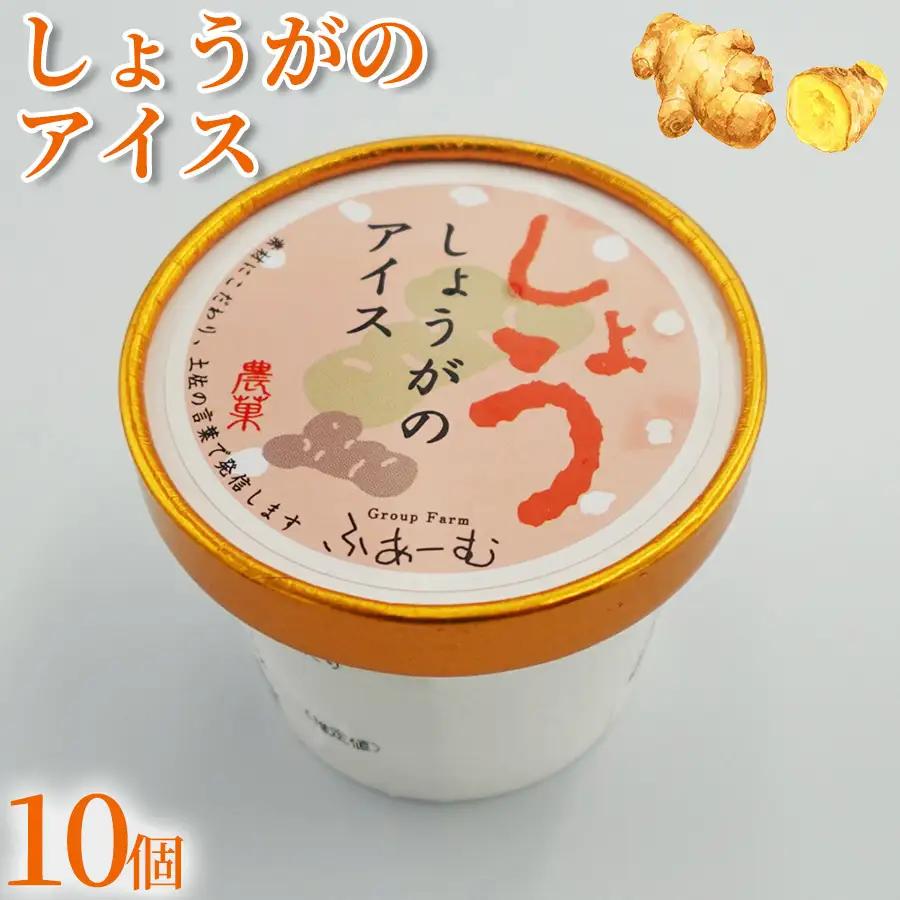 【アイス】 しょうがのアイス 100ml × 10個 アイス アイスクリーム