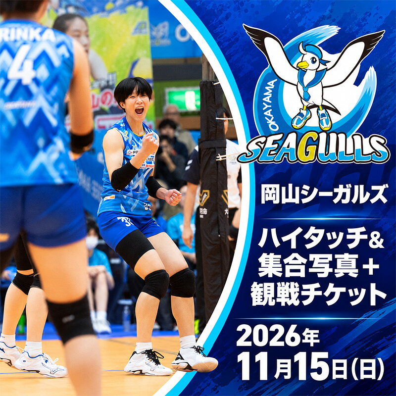 【ふるさと納税】【2026年11月15日(日)】赤磐大会限定！ 岡山シーガルズ 観戦 チケット バレーボール 選手とハイタッチ ＆ 集合写真 バレー バレーボール 観戦 チケット 特別 体験 岡山　お届け：2026年10月下旬～2026年11月上旬