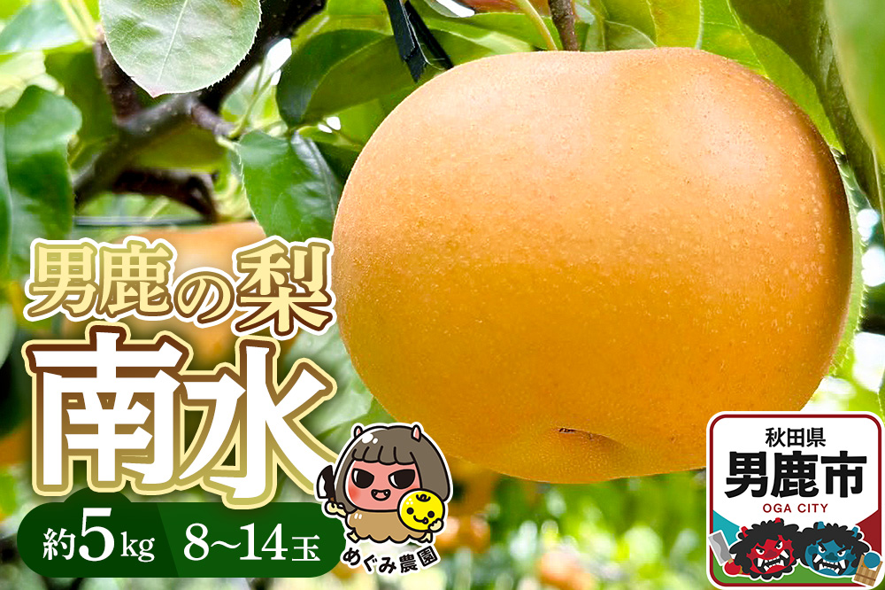 《先行受付》男鹿の梨 南水 約5kg 8～14玉 梨 秋田県 男鹿市 ＜めぐみ農園＞ 2026年9月下旬より発送