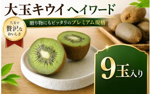 【先行予約】大玉プレミアムキウイ ヘイワード 9玉 | キウイ キウイフルーツ プレミアムキウイ 産地直送 農園直送 先行予約 数量限定 旬のキウイ 冬のフルーツ ギフト 贈答用 フルーツギフト フルーツ プレゼント 冬ギフト お歳暮 12月発送 1月発送 お取り寄せ 12,000円 榎本フルーツファーム 埼玉県 白岡市