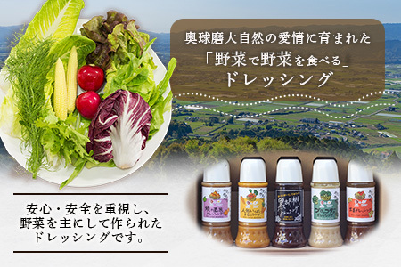 【定期便3回】熊本の大地の恵み≪ 野菜で野菜を食べる ≫ 旬のこだわり 野菜 ＆ドレッシング セット (3〜4名様向け) 野菜 獲れたて 8～12品 直送 旬 新鮮 定期便 野菜ドレッシング 詰め合わ