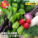 【ふるさと納税】 数量限定 定期便 野菜 5回 9～10種類程度 2人暮らしにぴったり 南国土佐のお野菜食べきりサイズ セット 限定80セット 詰め合わせ 季節 新鮮 産地直送 春夏秋冬 旬 高知県 須崎市 NK2000人気 ランキング 食品 お楽しみ バラエティ おすすめ 5ヶ月