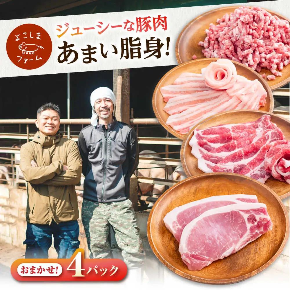 豚肉 うつみ潮風豚 精肉おまかせ4パックセット（1P/180g-280g）[BABT002] 豚肉