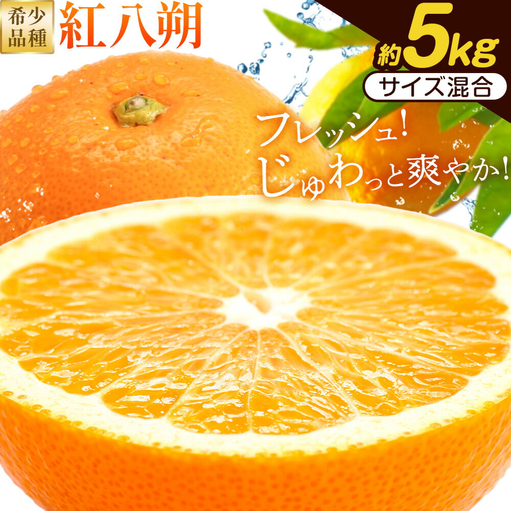 【ふるさと納税】【先行予約】みかん はっさく 紅八朔 和歌山県産 希少品種 約5kg サイズ混合 日高川町厳選館《1月中旬-2月末頃出荷》和歌山県 日高川町 送料無料 柑橘類 柑橘 オレンジ みかん 果物 フルーツ 青果 紅はっさく 八朔