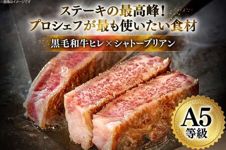 シャトーブリアン ヒレ ステーキ 博多和牛 A5等級 4枚 シャトーブリアン 7月中旬から順次発送