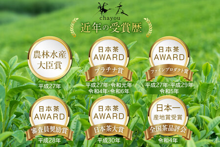 緑茶 長崎 ティーバッグ 緑茶 ティーバッグ 5g 16パック 2袋
