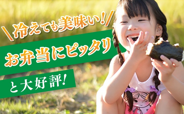 お米 米 ご飯 白米 白ご飯 ごはん コメ お弁当 精米 精白米 夢しずく