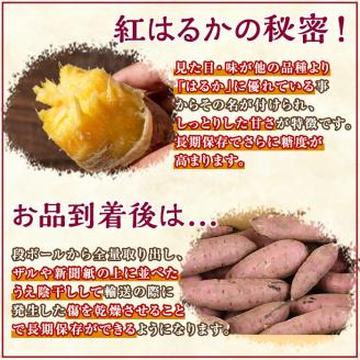 y351 ≪訳あり・期間限定≫湧水町産有機さつまいも 紅はるか(10kg) 国産 九州産 鹿児島産 有機栽培 サツマイモ 生芋 芋 紅春香 べにはるか 焼き芋 天ぷら おかず 野菜【そのやま農園】