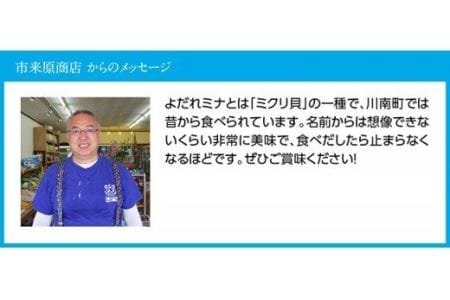 宮崎県産活貝　日向灘獲れ！よだれミナ(シマミクリ貝・シマアラレミクリ貝) 【 貝 魚介 活貝 新鮮 おつまみ 川南町 魚介類 魚貝 】
