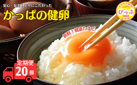 かっぱの健卵 20個 3か月定期便【大熊養鶏場】たまご 卵 玉子 タマゴ 生卵 こだわり 卵かけご飯 TKG 国産 お取り寄せ 北海道 比布町 ぴっぷ 1006-005