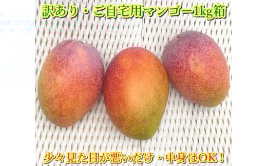 
            【予約受付】石垣島産 《訳あり・ご自宅用マンゴー》 約1kg エコ箱入り（2～4個入り）2025年6月末〜7月下旬発送 【規格外】SI-29-2
          