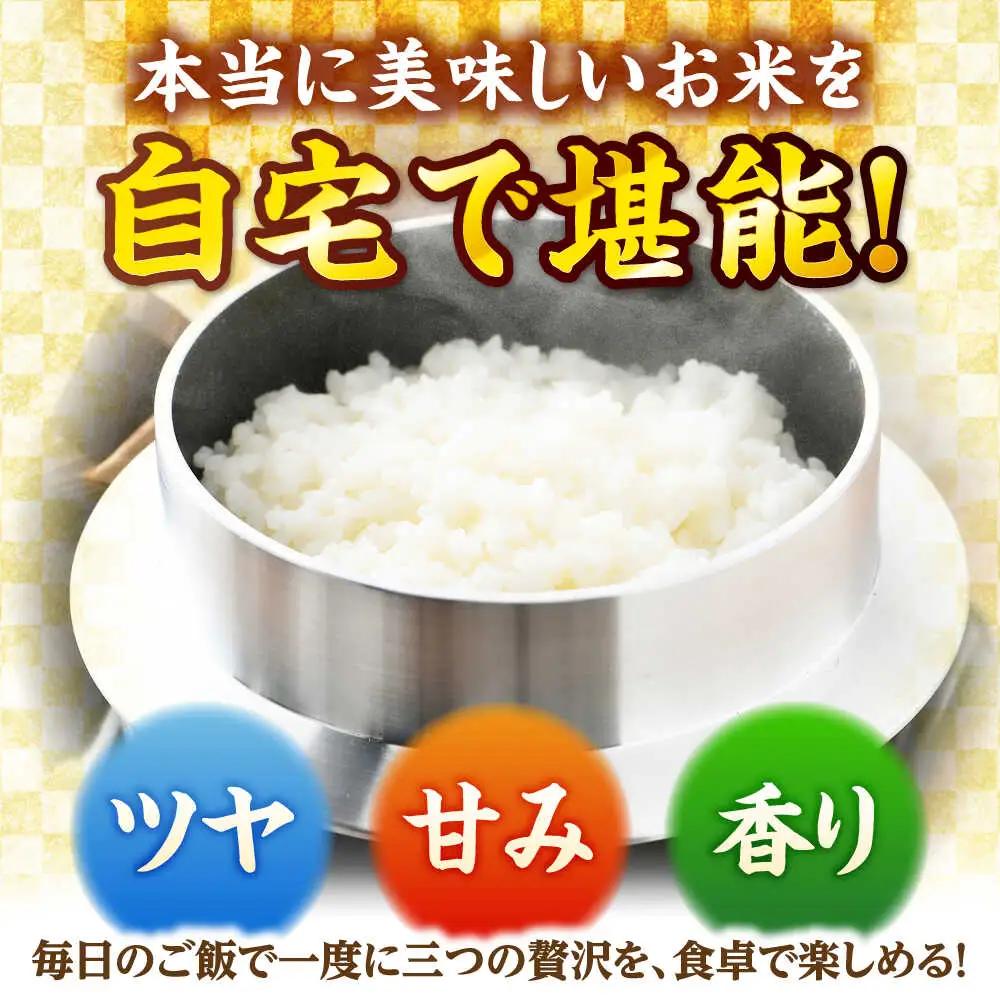 【令和7年産】真空パック 福井県産こしひかり 300g(約2合) × 10パック 計3kg 小浜市 / シマダ農園 [BFAV004]