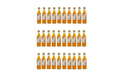 定期便 ３回 小田原産江之浦みかんスパークリング果汁入り飲料果汁５０％２００ml３０本
