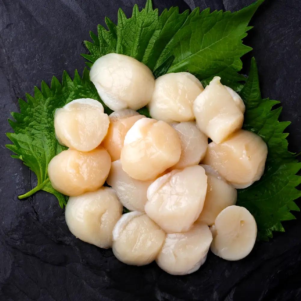 【 訳あり 】 北海道産 ホタテ貝柱 冷凍 500g × 2 ホタテ 貝柱 貝 貝類 海鮮 魚介類 魚介 おつまみ 晩酌 酒の肴 国産