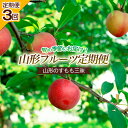 【ふるさと納税】【定期便3回】山形のすもも三昧 【令和7年産先行予約】FS24-606 くだもの 果物 フルーツ 山形 山形県 山形市 お取り寄せ 2025年産