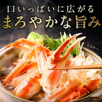 ふるさと納税 泉佐野市 【5Lサイズ】ずわい蟹 2kg ボイル済み 4肩前後 昆布仕立て |  | 01