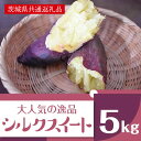 【ふるさと納税】【11月発送】上品な甘みさつまいも シルクスイート5kg（茨城県共通返礼品・行方市産）（AK103）