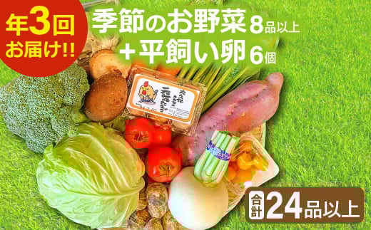 
【3回定期便】季節のお野菜と平飼い卵のセット (8~10品) 【定期便 コース 野菜 やさい 旬の野菜 季節の野菜 減農薬 減化学肥料 おまかせ お楽しみ 採れたて 新鮮 8～10品 卵 たまご 平飼い卵 6個 破損保証 2個 詰め合わせ セット 冷蔵 全3回 わさび菜 たらの芽 平茸 蕪 高菜 舞茸 定期】
