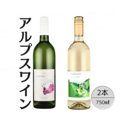ふるさと納税 笛吹市 アルプスワイン　甲州ドライ・こもれびの甲州 計2本セット 167-101
