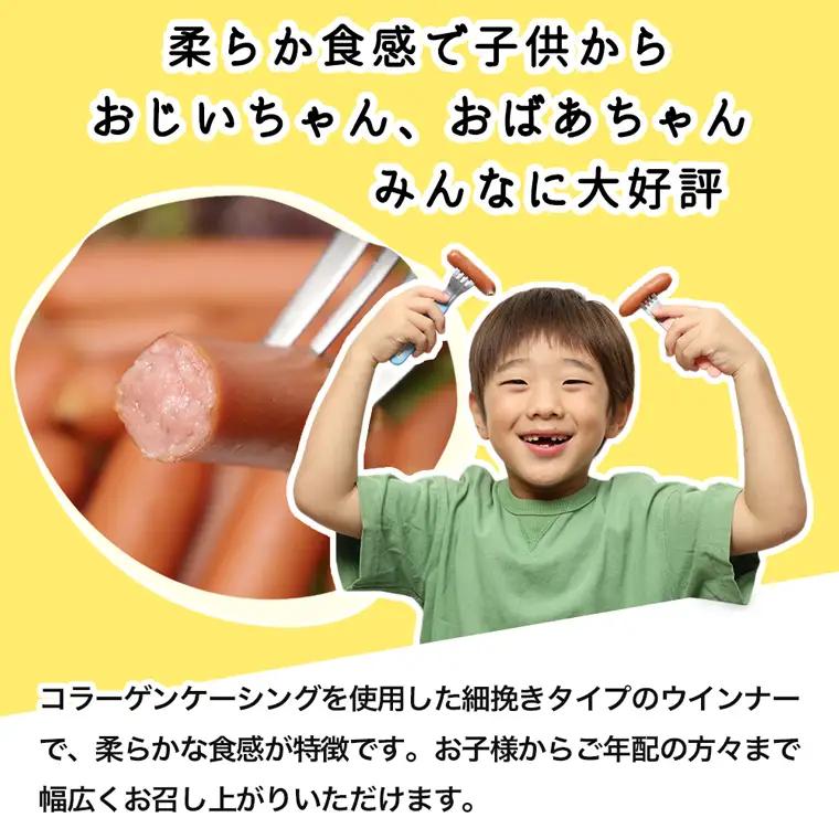 国産 ウインナー 3kg 訳あり ウインナー ソーセージ DV031
