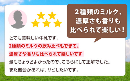 牛乳 いけぼく 牛乳 ホルスタイン ・ ジャージーセット ミルクO-H02　有限会社池田牧場 東近江
