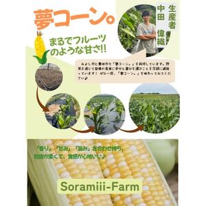 【2025年度】愛知県みよし市産 朝採り「夢コーン。」Lサイズ8本セット 数量限定【配送不可地域：離島・沖縄県】【1623769】